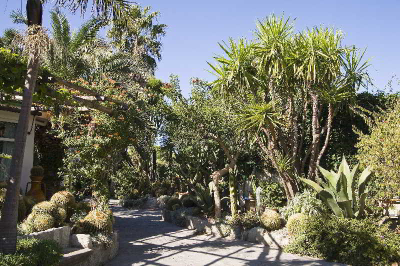 Park Hotel Terme Mediterraneo Forio  Bagian luar foto